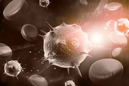 231540263763699133.png 圖片1.png