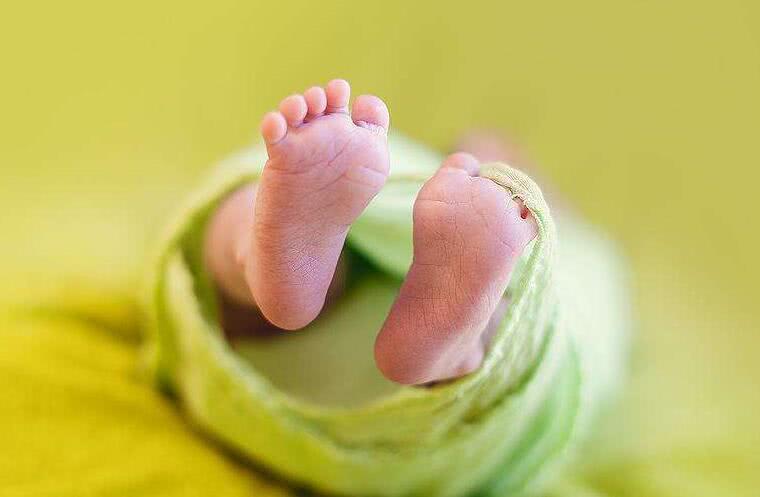 想要孩子“天資聰穎”？ 這些營養(yǎng)必須跟上