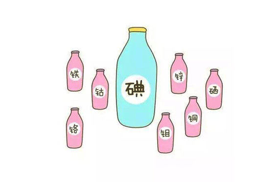 我們每天需要多少碘？可以從哪里攝入？