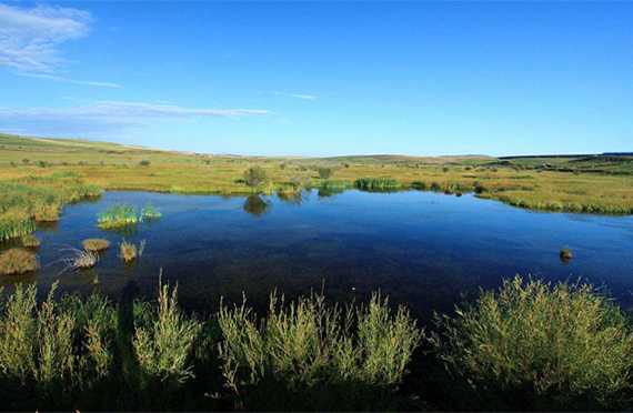 高水碘地區(qū)居民需要補充碘元素嗎？