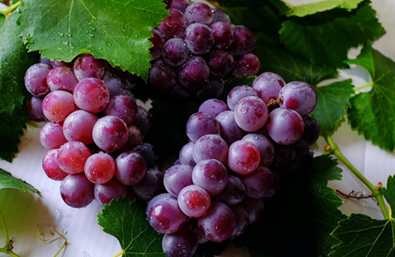 碘元素含量高的食物和水果有哪些？