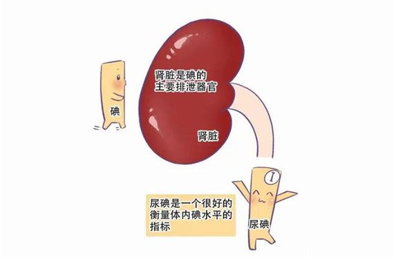 我們已經(jīng)不需要補(bǔ)碘了嗎？