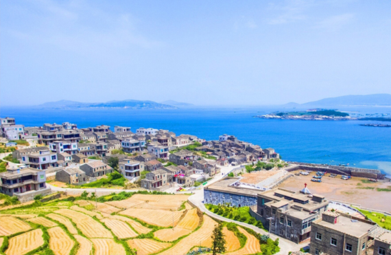 241616567893343178.jpg 3.24.jpg