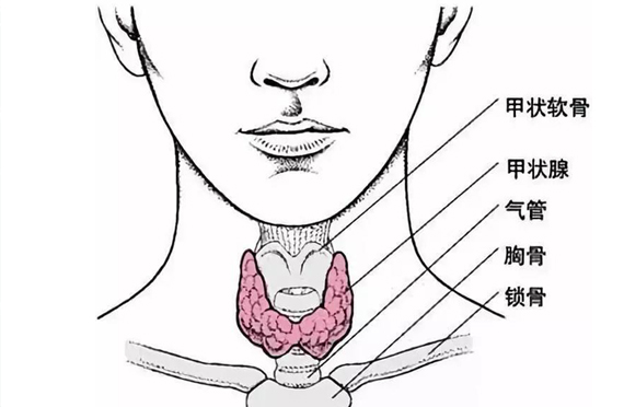 如何預(yù)防甲狀腺癌？