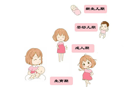 缺碘或碘過量，各年齡段影響各不相同