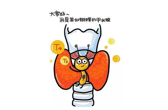 甲狀腺腫大是缺碘導(dǎo)致的嗎？