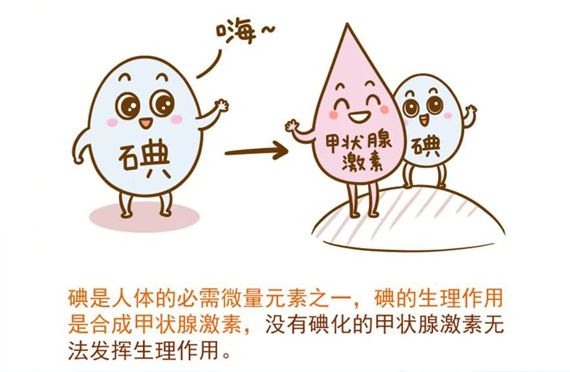 小小碘元素，生理作用大！