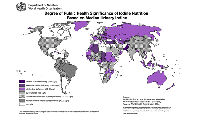 021638415992513455.jpg 12.024.jpg