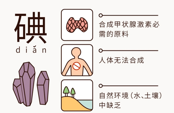 221640158565801423.jpg 12.224.jpg