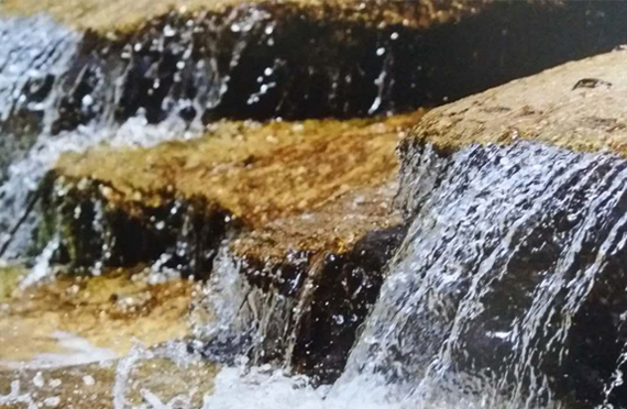 301640833755270411.jpg 12.301.jpg