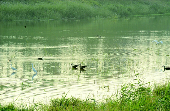 301640833775109894.jpg 12.302.jpg