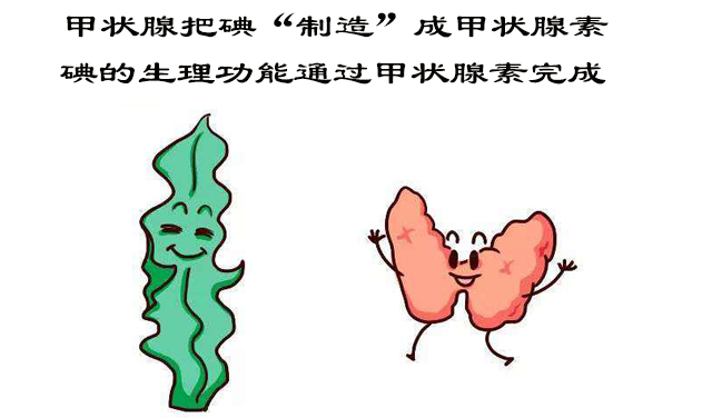 101644483496635579.jpg 2.102.jpg