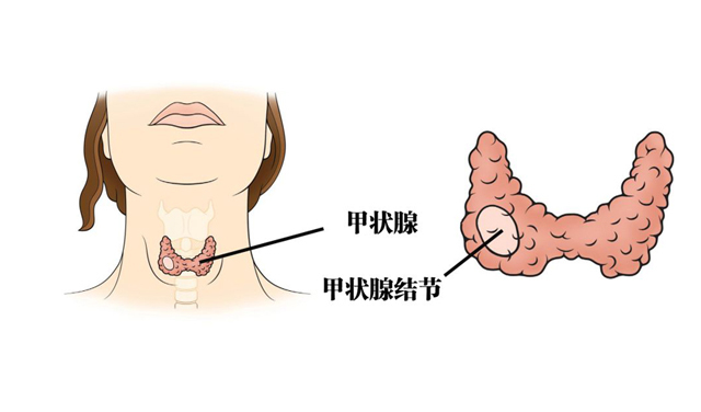 101644483513876600.jpg 2.10.jpg