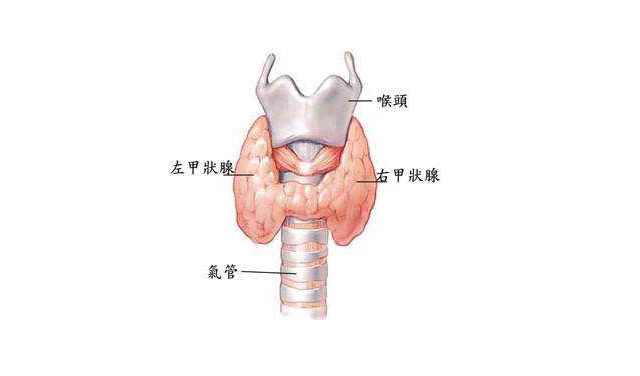 041646359449139065.jpg 03043.jpg