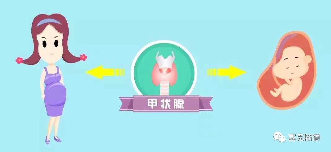 201700454998187360.jpg WeChat Image_20231120123630.jpg