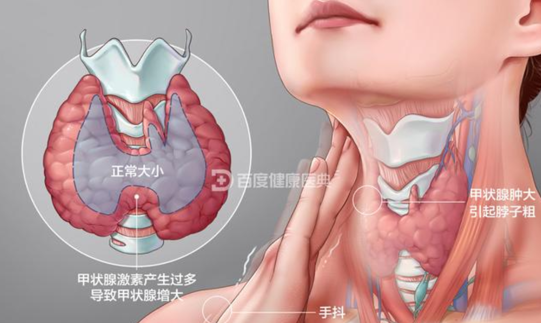 301714463597360778.png image.png